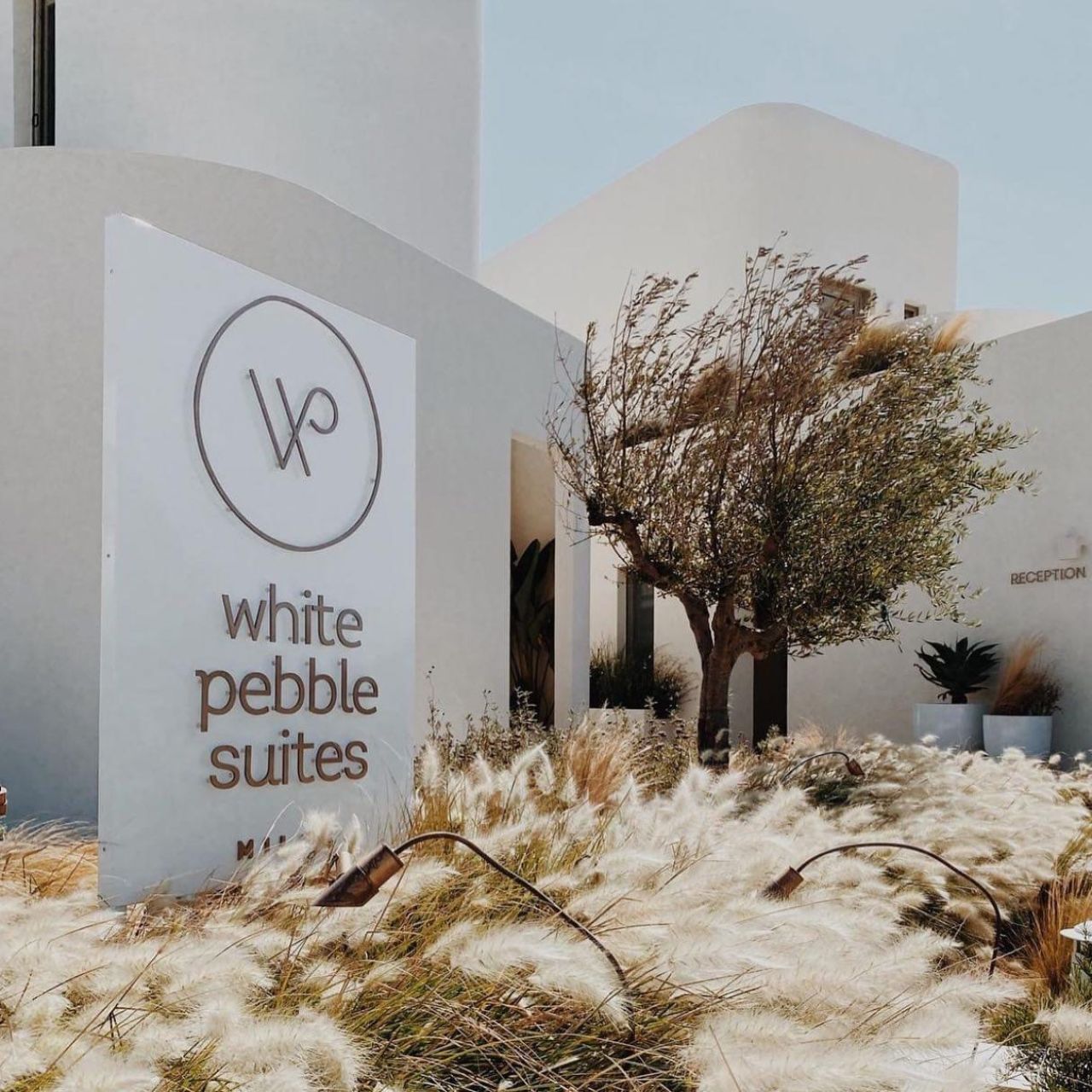 White Pebble Suites logo design branding web design the sign