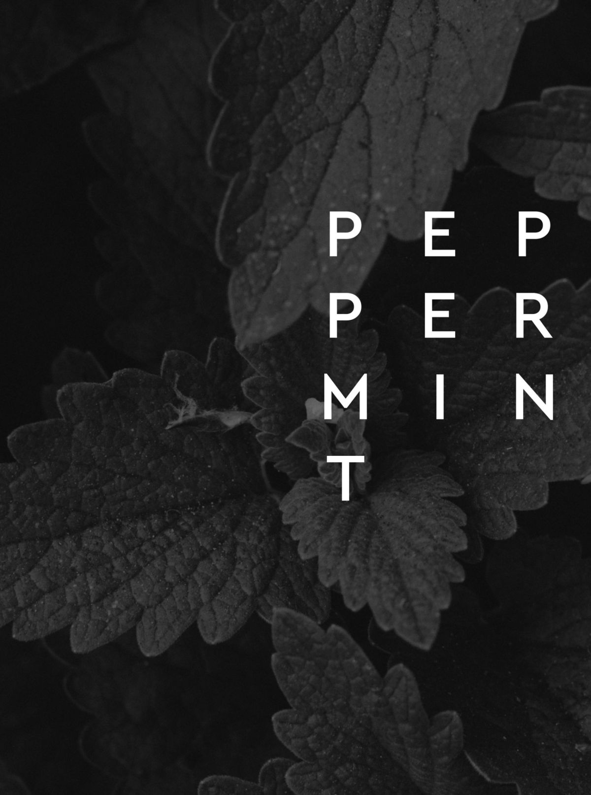 Close-up of Etheleo branding – Peppermint. By το pecora nera design studio
